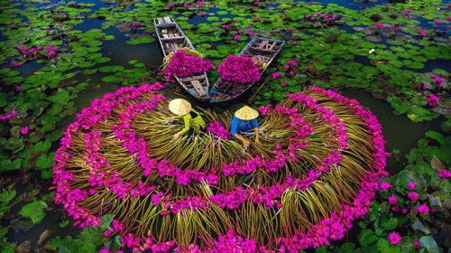 Tour Mỹ Tho - Bến Tre - Cần Thơ  2N1Đ