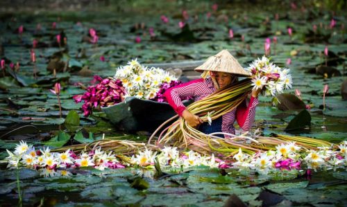 Tour Mỹ Tho - Bến Tre - Cần Thơ  2N1Đ